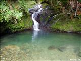 Bosque Estatal de Toro Negro - OROCOVIS, JAYUYA, JUANA DÍAZ